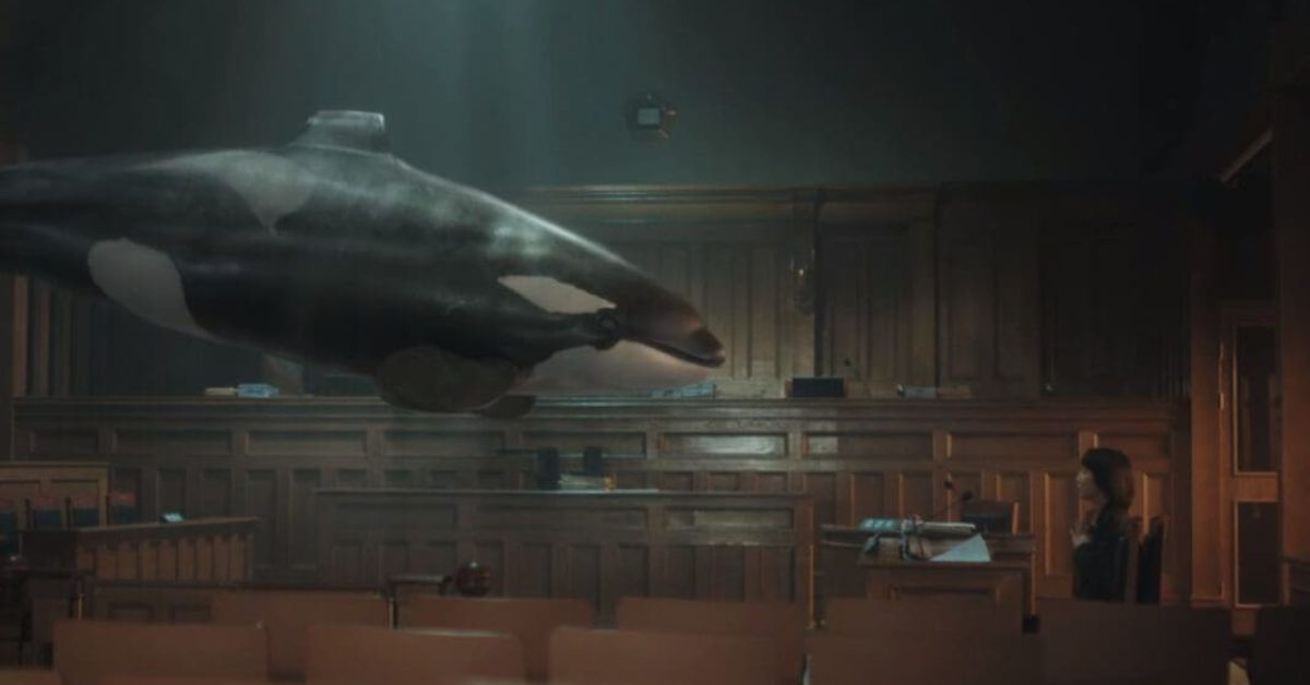 Extraordinary Attorney Woo Woo Young-Woo and Her Whale Moments of Enlightenment