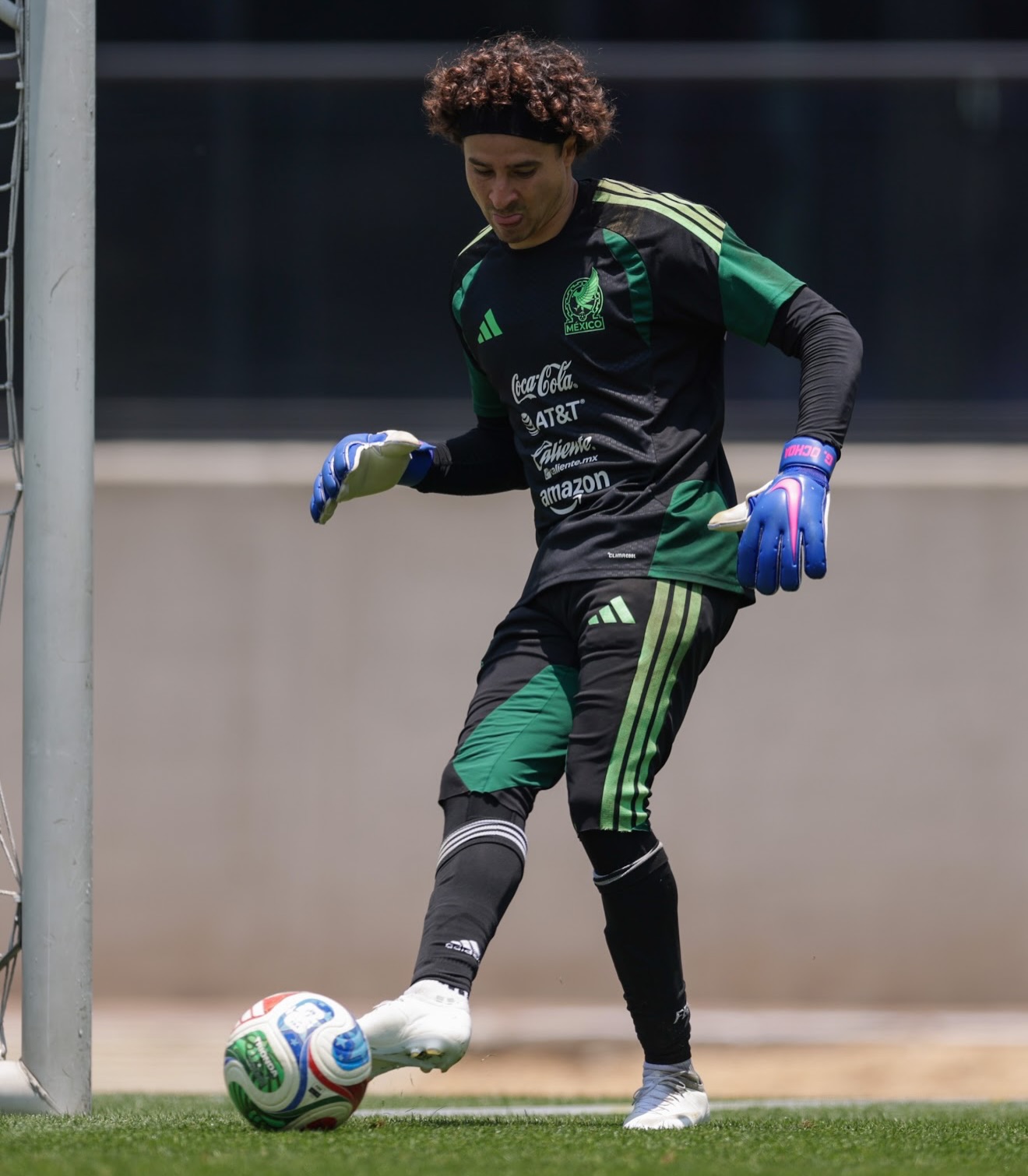 Guillermo Ochoa