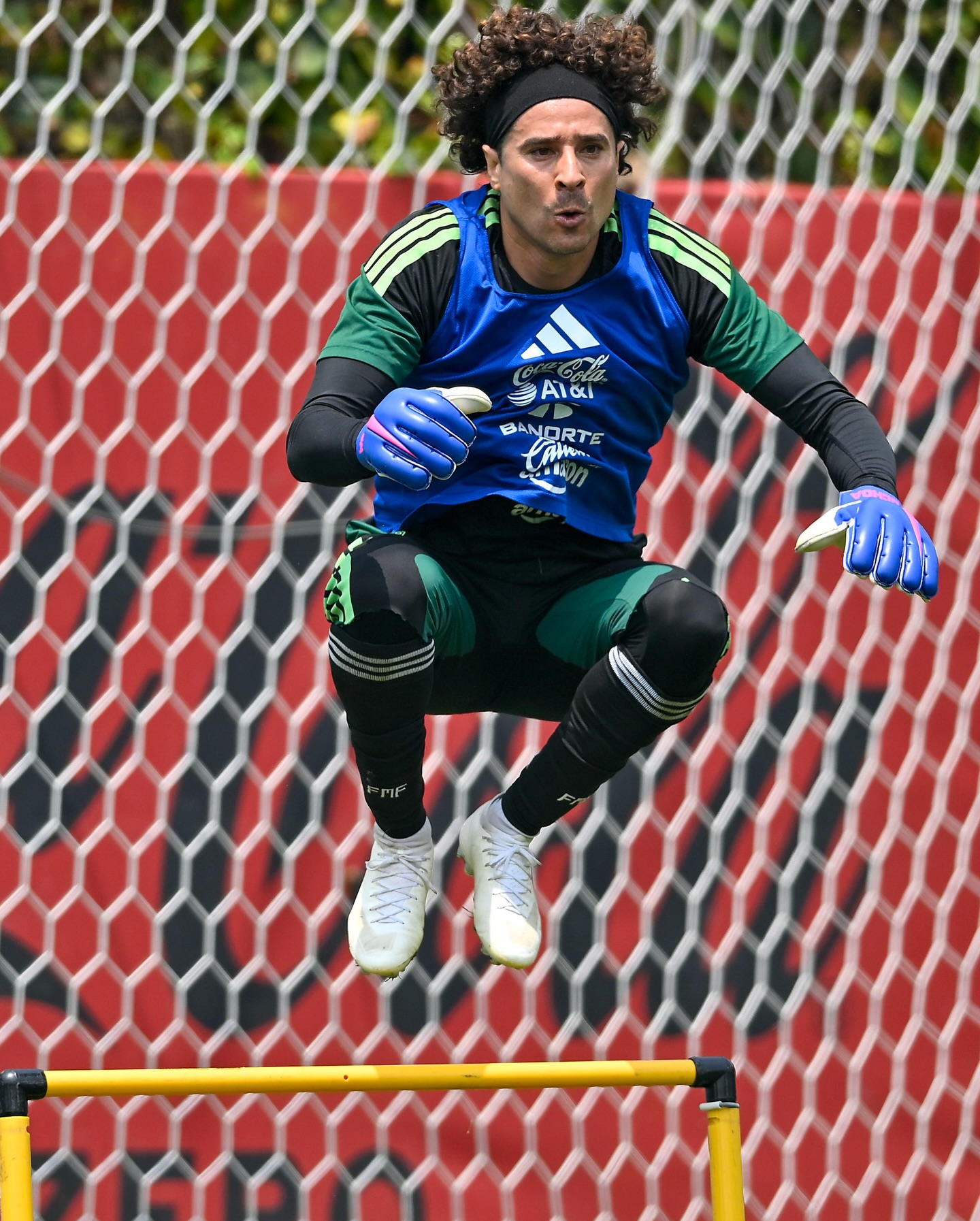 Guillermo Ochoa